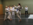 Taekwondo Heppenheim - Gürtelprüfung am 30.6.2025